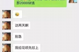 阳新要债公司